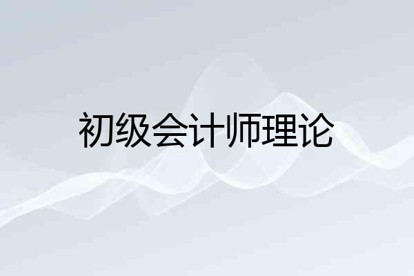 初级会计师理论
