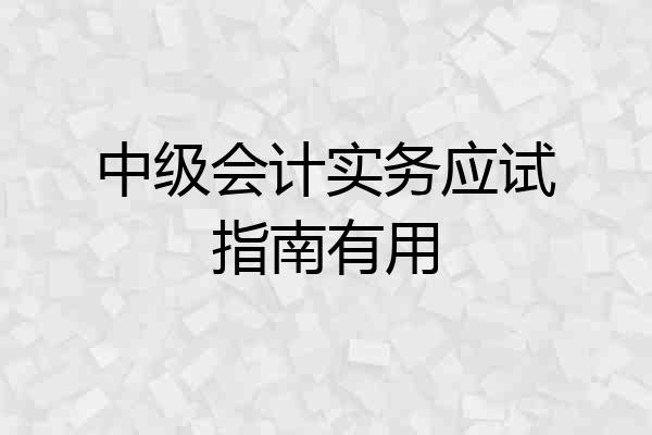 中级会计实务应试指南有用