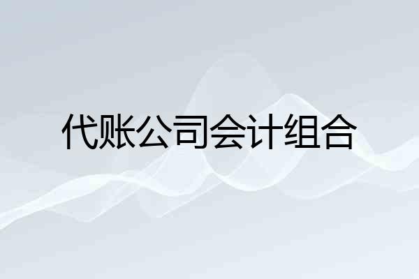 代账公司会计组合