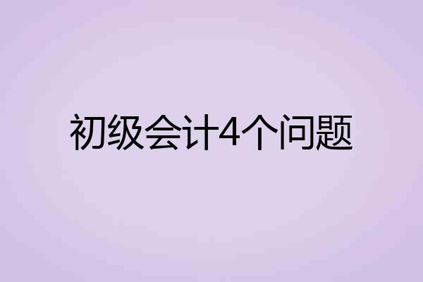 初级会计4个问题