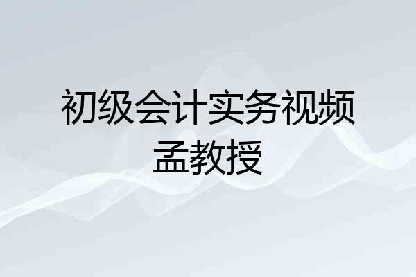 初级会计实务视频孟教授