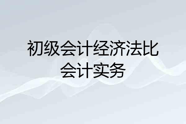 初级会计经济法比会计实务
