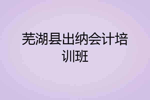芜湖县出纳会计培训班