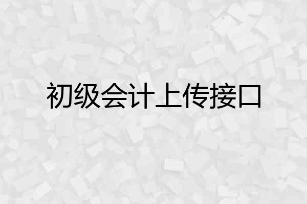 初级会计上传接口