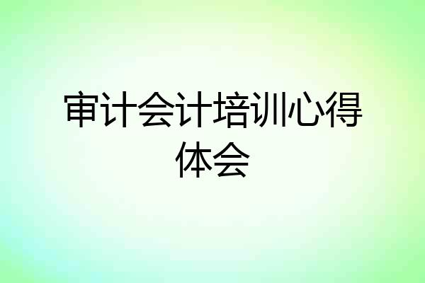 审计会计培训心得体会