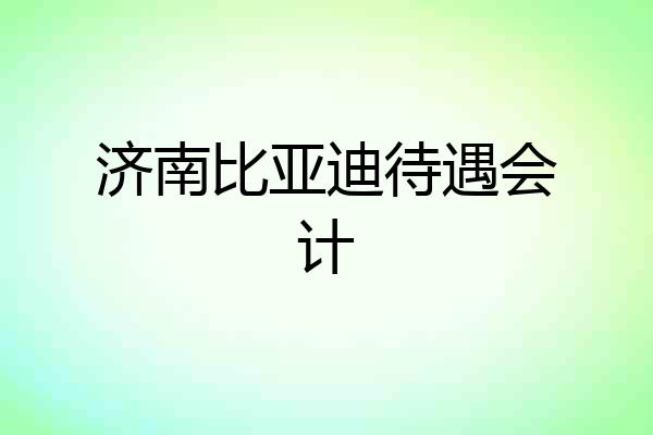 济南比亚迪待遇会计