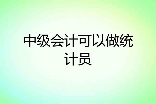 中级会计可以做统计员