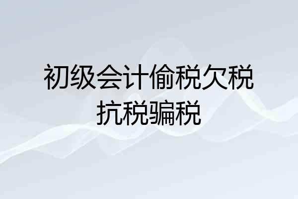 初级会计偷税欠税抗税骗税