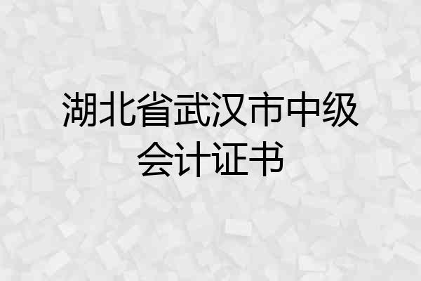 湖北省武汉市中级会计证书