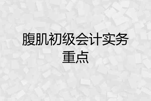 腹肌初级会计实务重点
