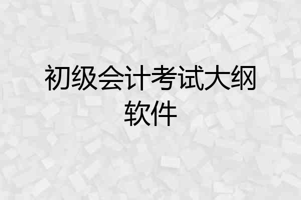 初级会计考试大纲软件