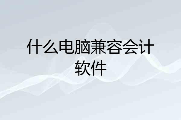 什么电脑兼容会计软件
