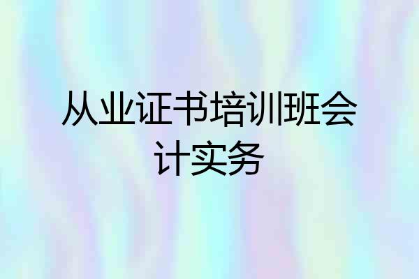 从业证书培训班会计实务