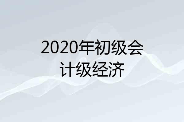 2020年初级会计级经济