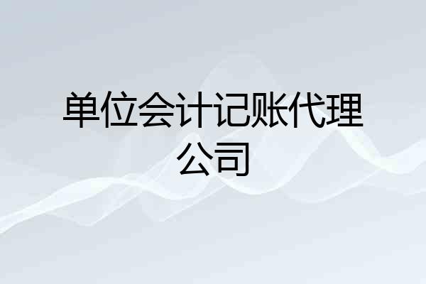 单位会计记账代理公司