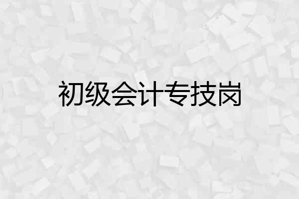 初级会计专技岗