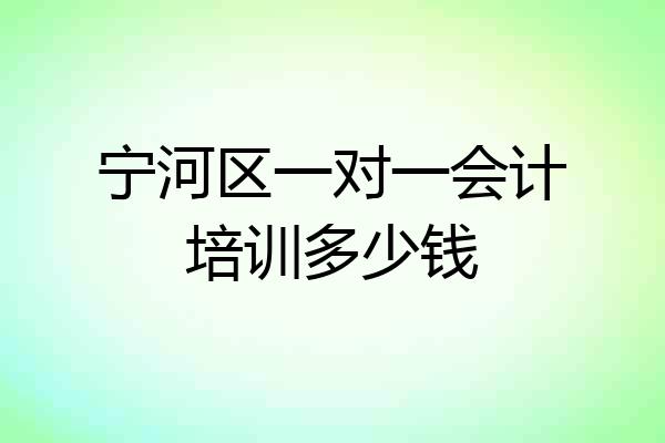 宁河区一对一会计培训多少钱