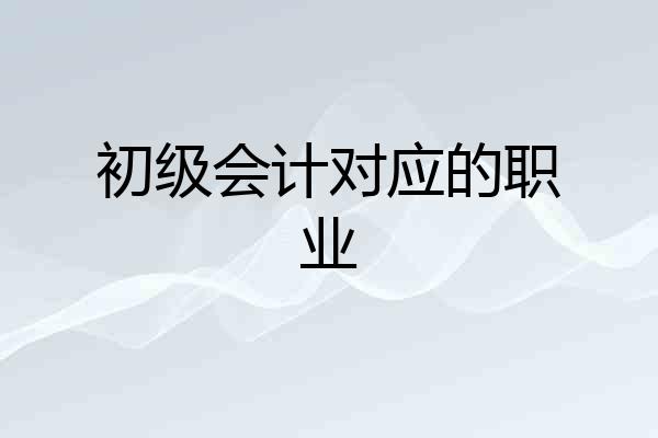 初级会计对应的职业
