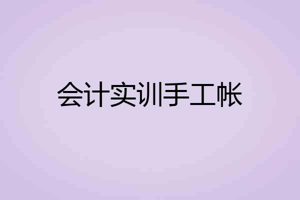 会计实训手工帐