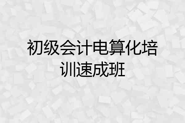 初级会计电算化培训速成班
