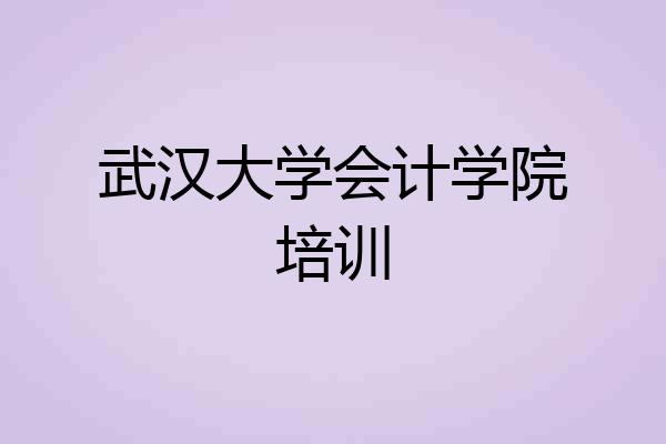 武汉大学会计学院培训