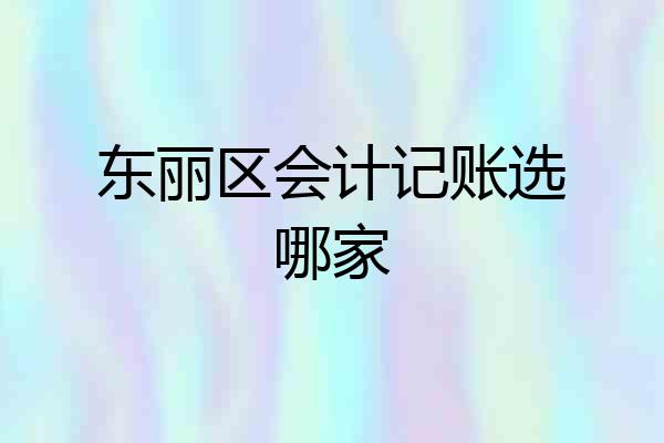 东丽区会计记账选哪家