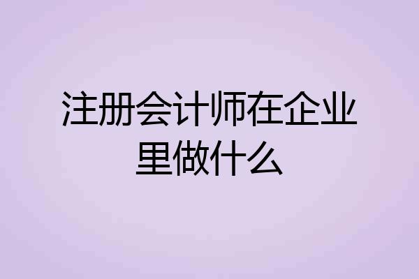 注册会计师在企业里做什么