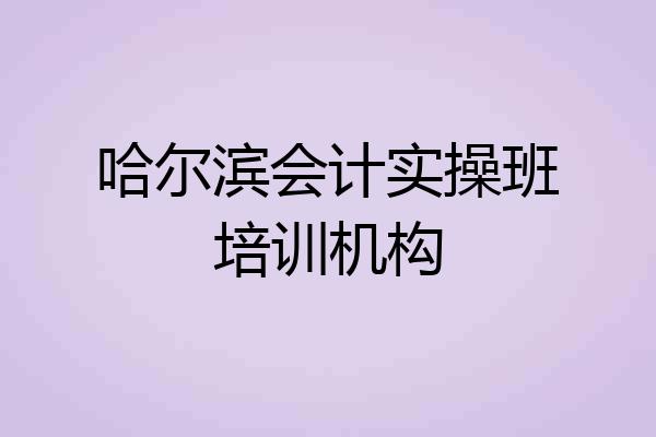 哈尔滨会计实操班培训机构