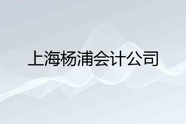 上海杨浦会计公司
