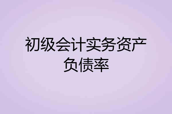 初级会计实务资产负债率