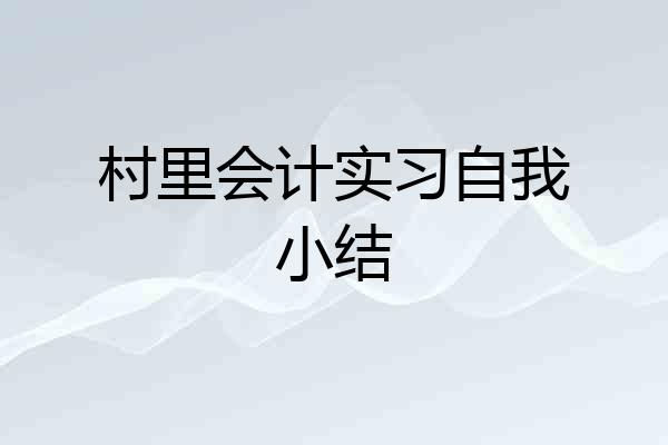 村里会计实习自我小结