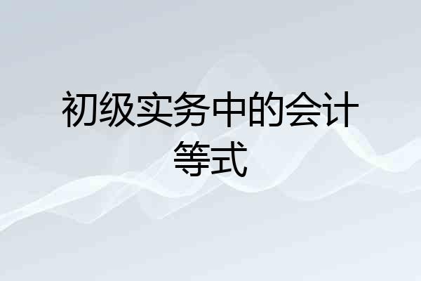 初级实务中的会计等式