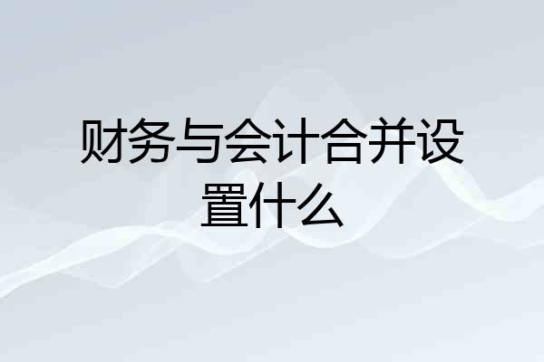 财务与会计合并设置什么