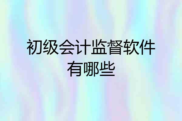初级会计监督软件有哪些
