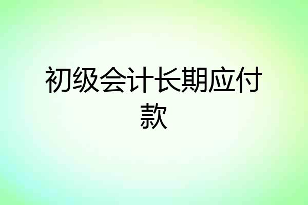 初级会计长期应付款