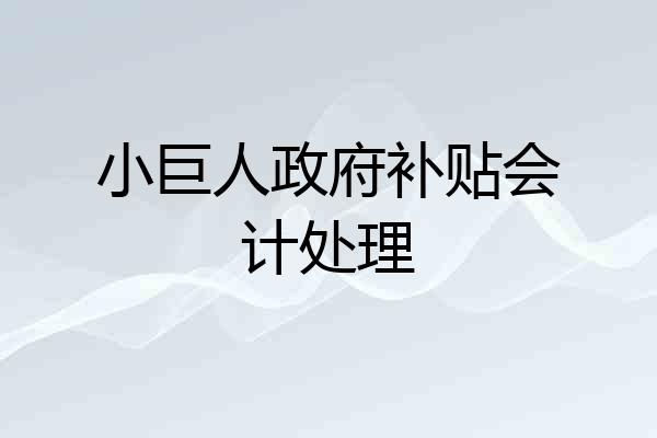 小巨人政府补贴会计处理