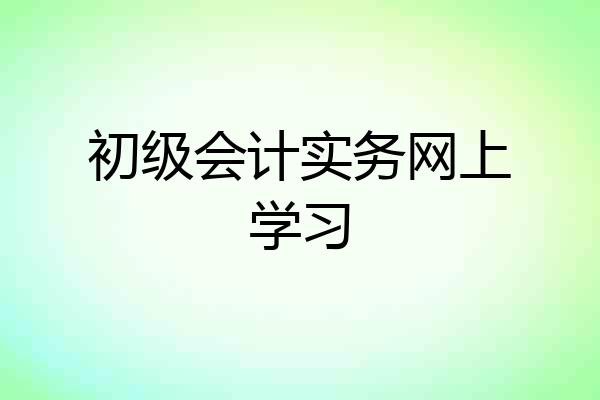 初级会计实务网上学习