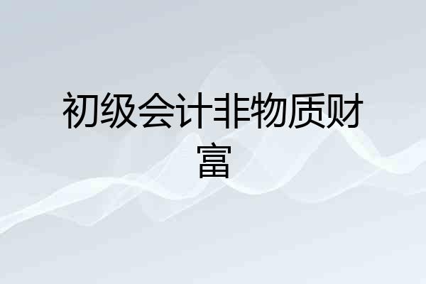 初级会计非物质财富