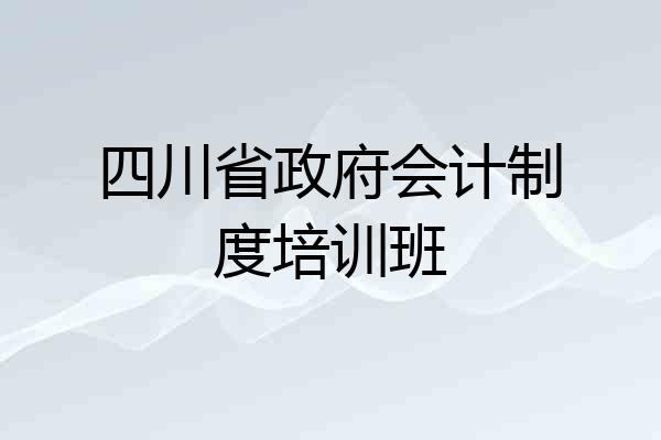 四川省政府会计制度培训班