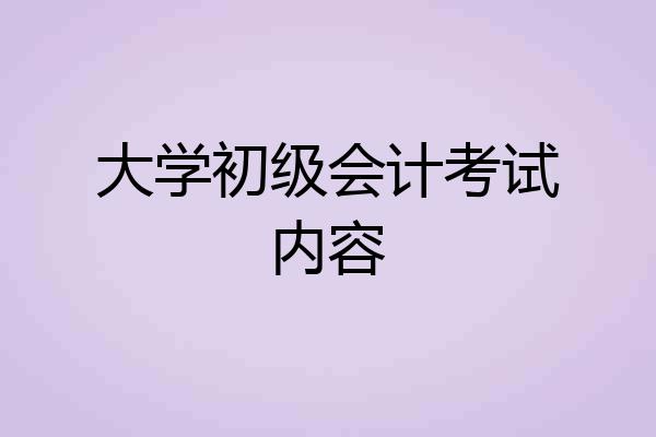 大学初级会计考试内容