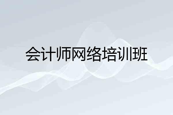 会计师网络培训班