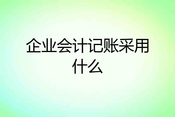 企业会计记账采用什么