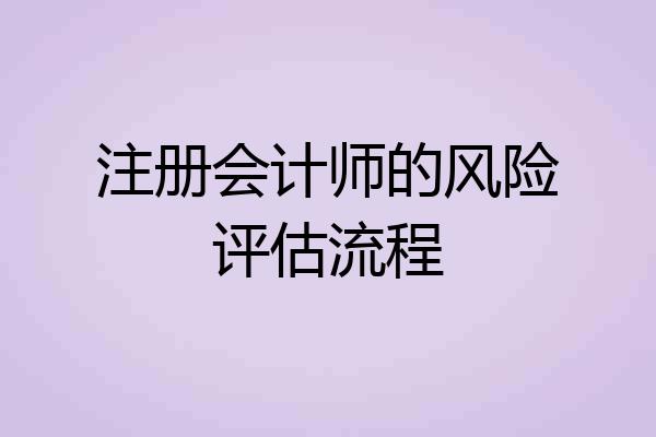 注册会计师的风险评估流程