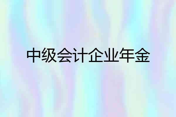 中级会计企业年金