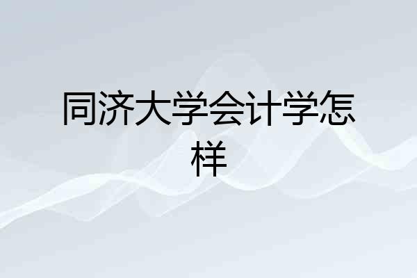 同济大学会计学怎样