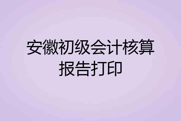 安徽初级会计核算报告打印