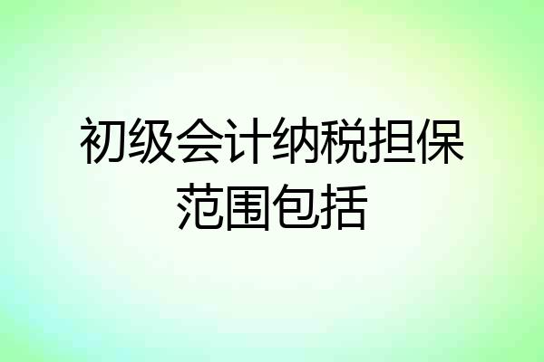 初级会计纳税担保范围包括