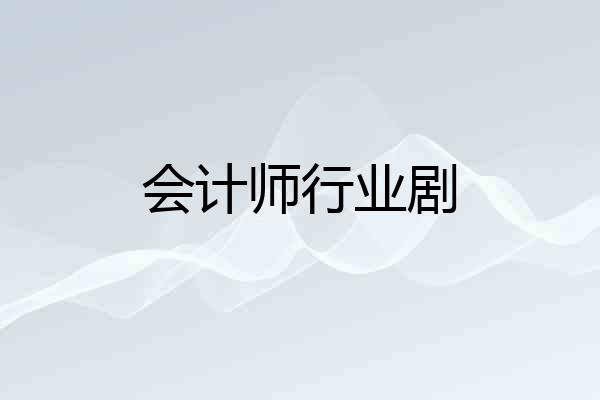 会计师行业剧