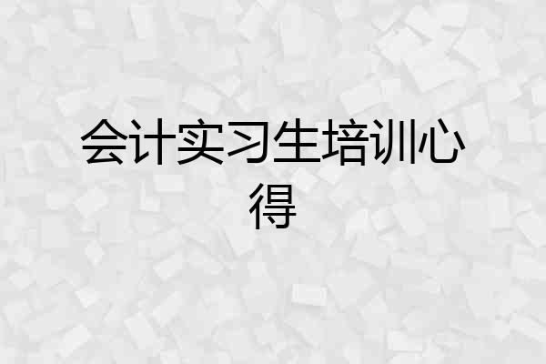 会计实习生培训心得