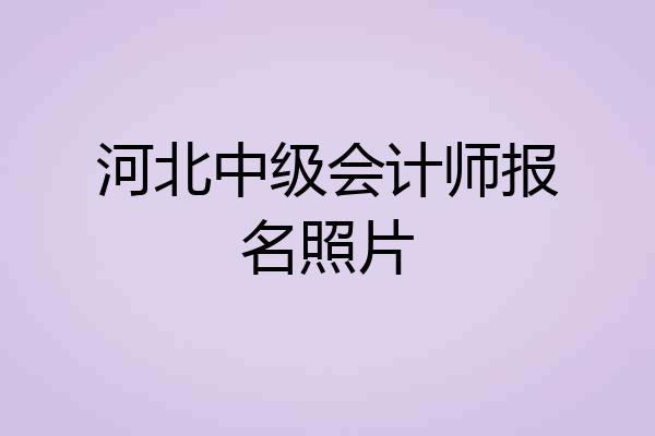河北中级会计师报名照片